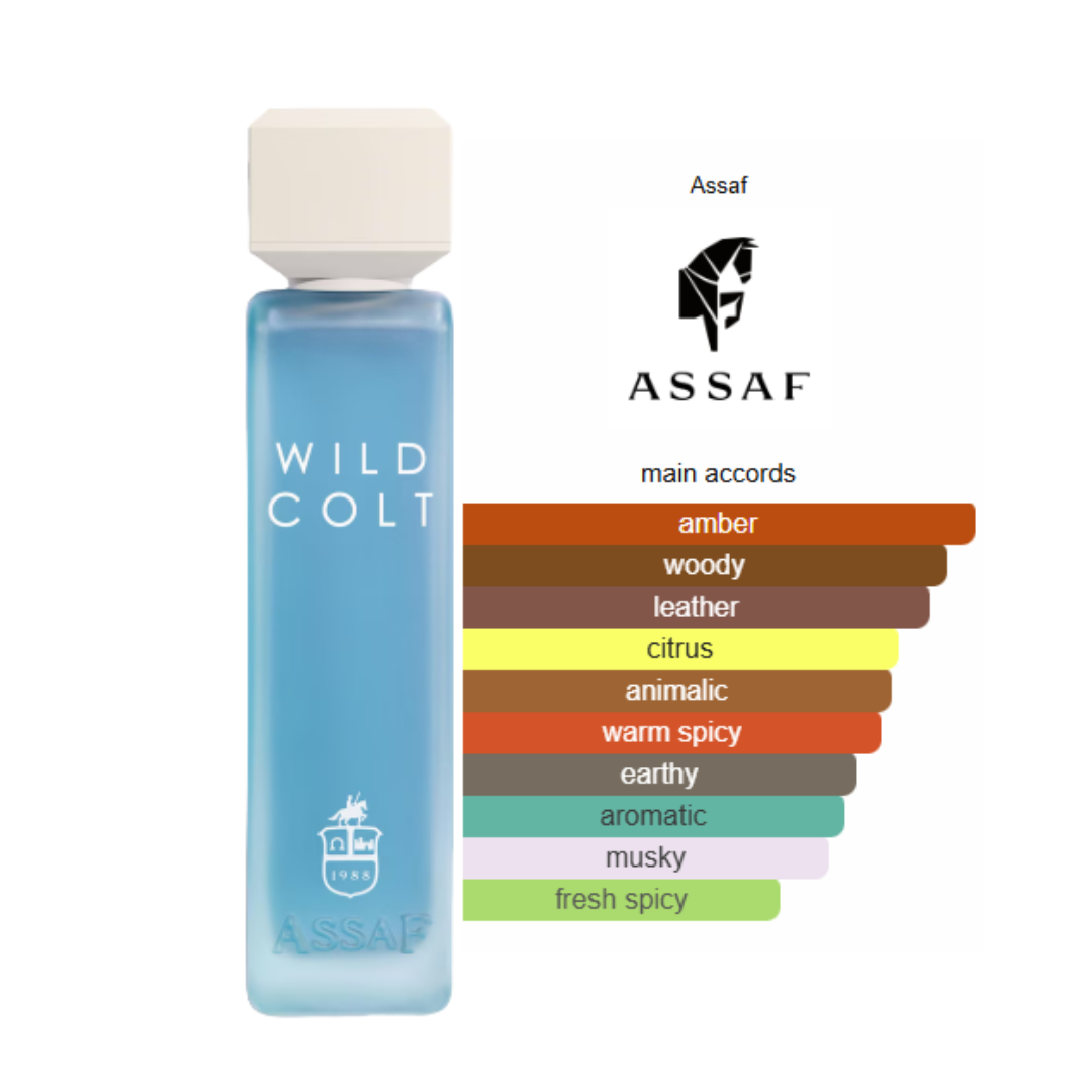 Wild Colt Assaf for women and men