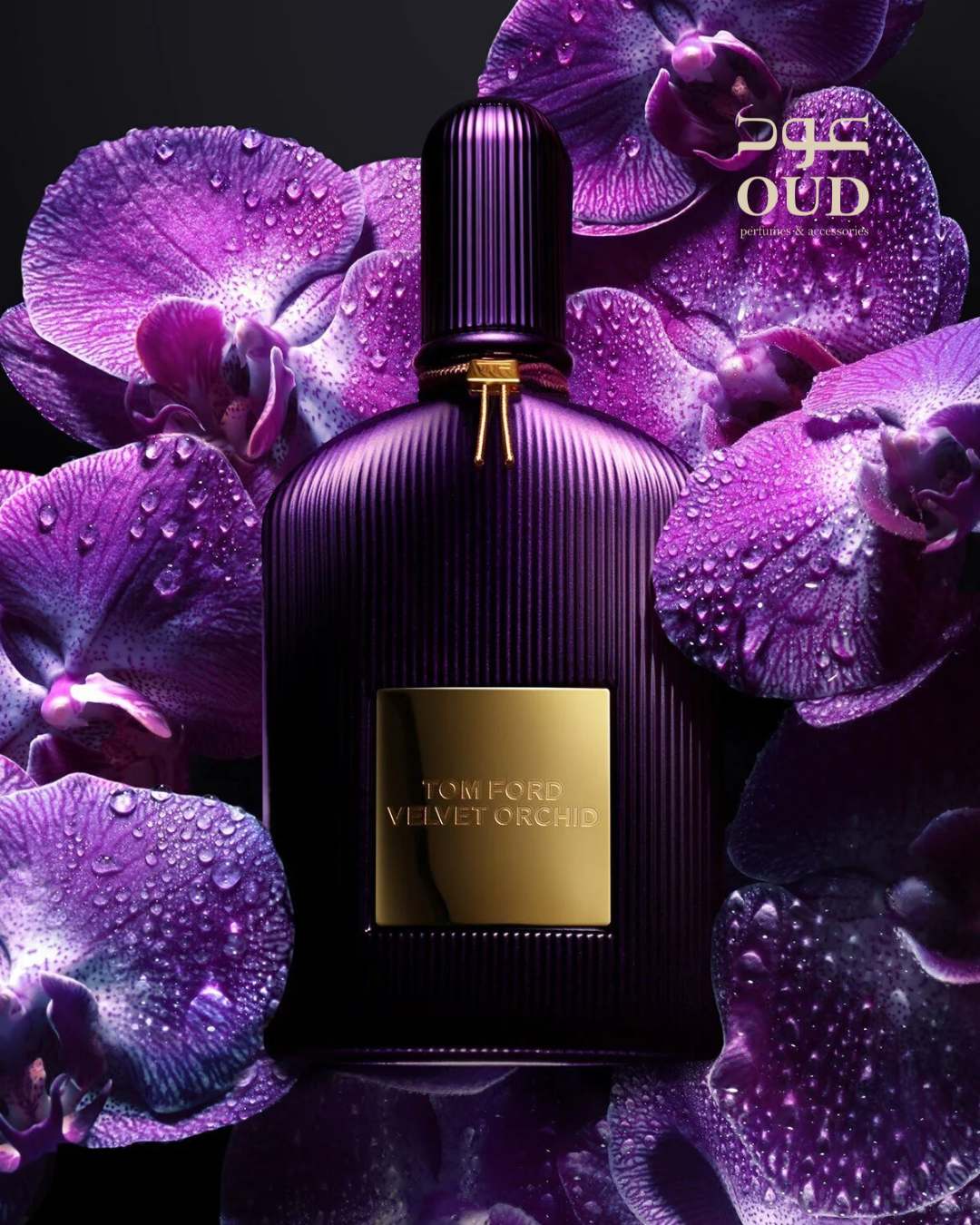 Black Orchid BY Tom Ford For Men