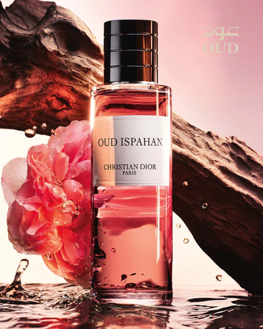 Price of christian dior oud ispahan best sale