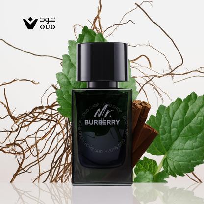 Mr. Burberry Eau de Parfum Burberry for men