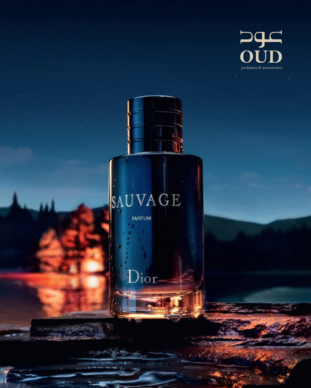 Sauvage BY Dior For Men Parfum