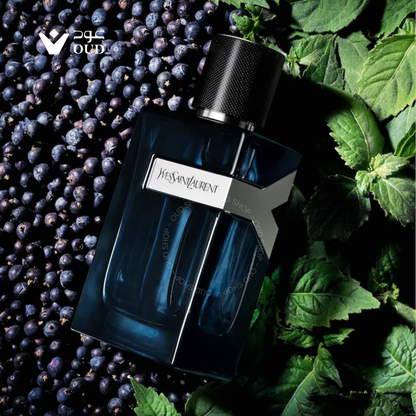 Y Eau de Parfum Intense Yves Saint Laurent for men